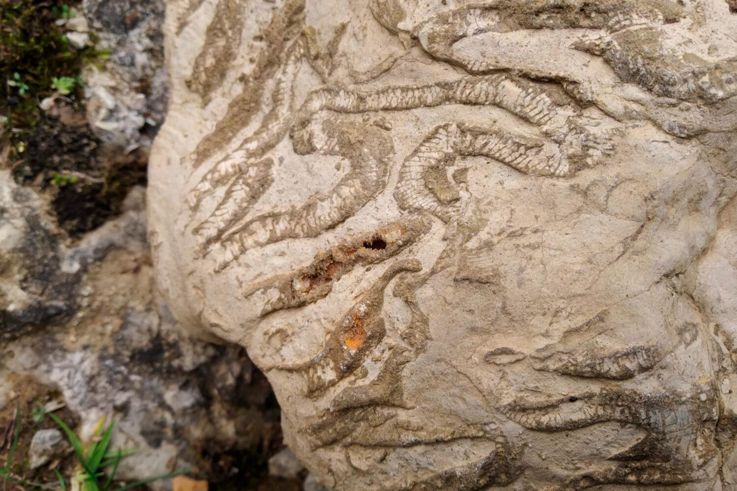 Sierra de Aralar